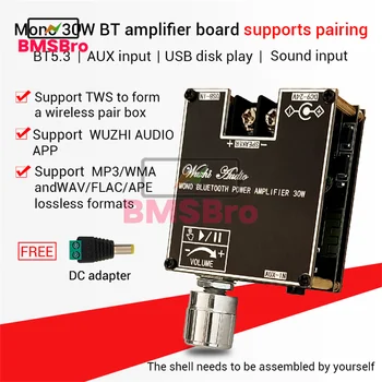 בקרת יישום TWS 30W Bluetooth 5.3 צליל מונו לוח מגבר DC 9-24V AUX עבור רמקול קריוקי חכם קולנוע ביתי סאב וופר