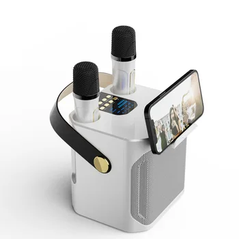 מתח גבוה קריוקי Bluetooth רמקול נייד 360 סטריאו סראונד עמיד למים סאב וופר אלחוטי עם שני מיקרופון רדיו-טייפ