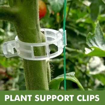 50Pcs פלסטיק תמיכה הצמח קליפים לשימוש חוזר צמח הגפן הגנה השתלת תיקון כלי צמחי עגבניות בגינה אספקה